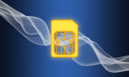 Clone or Swap? SIM Card Vulnerabilities to Reckon With