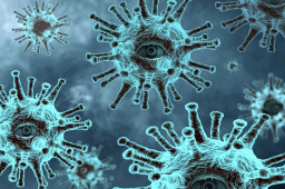 COVID-19 pandemic accelerates transformation in enterprise security