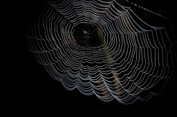 Booming dark web gig economy is a rising threat