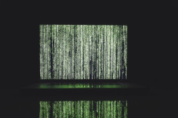 Government Faces Massive DDoS Attacks Following Protests