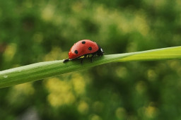 Why Bug-Bounty Programs Are Failing Everyone