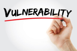 Vulnerable updates in Cisco enterprise software