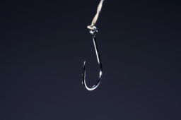 Phishing Attack Targets Hundreds of Zimbra Customers in 4 Continents