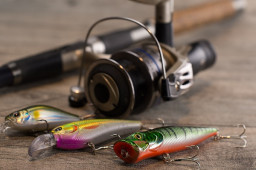 HR phishing: self-evaluation questionnaire