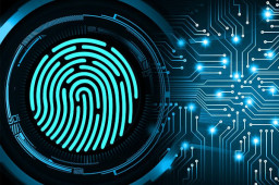 Addressing the insecurity of verified identities