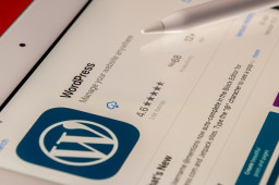 Over 17,000 WordPress Sites Compromised by Balada Injector in September 2023