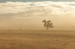 Iranian Hackers Peach Sandstorm Are Delivering New Backdoor