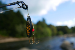 Spear phishing 101: what you need to know