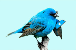 Twitter employees were spear-phished over the phone