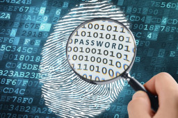 54% of all employees reuse passwords across multiple work accounts