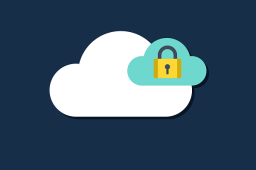 60% of IT leaders are not confident about their secure cloud access