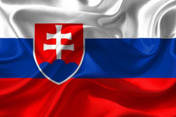 Slovak, Polish Parliaments Hit by Cyberattacks