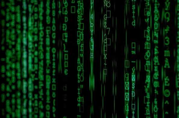 Will Homomorphic Encryption Transform Data Privacy by 2025?