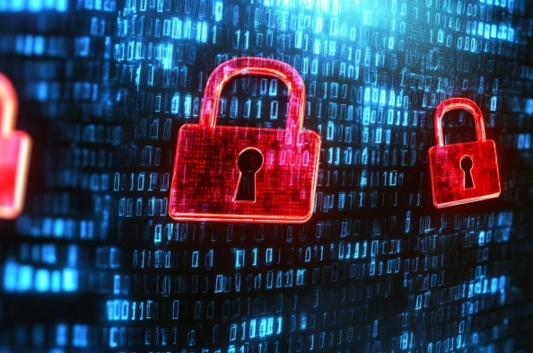 How Do Bermuda, BVI, and Cayman Islands Protect Your Data?