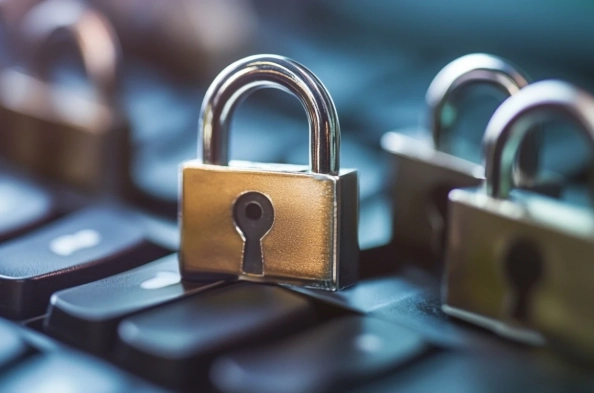 Are Companies Paying Enough Attention to Data Protection in 2024?