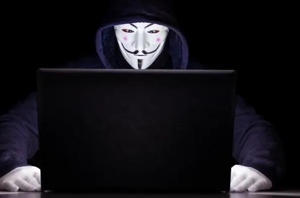 The Paradox of Data Privacy
