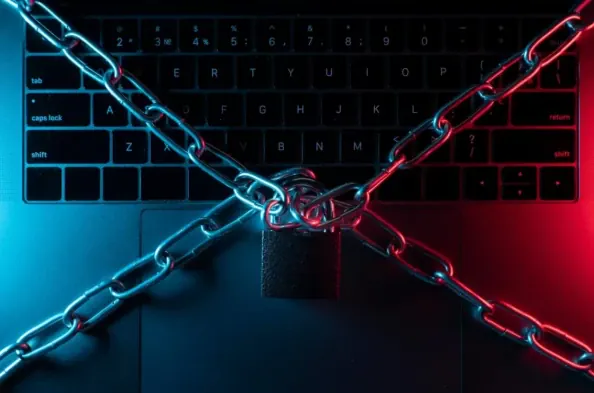 SonicWall Patches Critical VPN Vulnerabilities in NetExtender