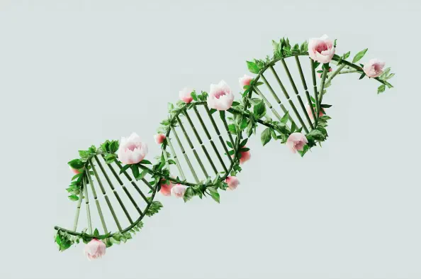 Regulators Safeguard 23andMe Data Amid Bankruptcy Proceedings