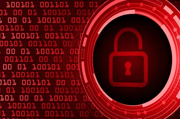 Navigating Consumer Concerns After Data Breaches
